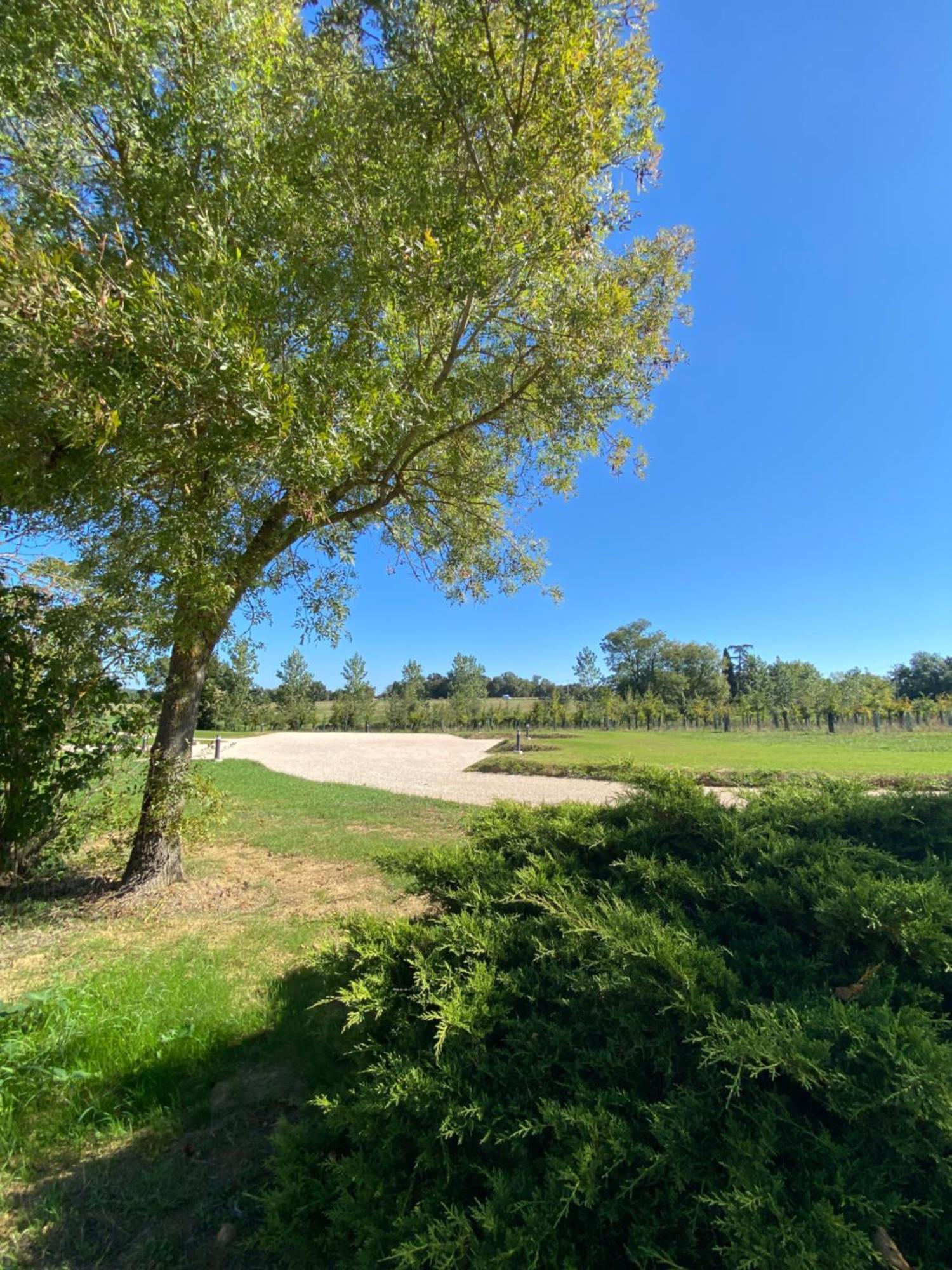 Gite Clara - Domaine Du Catalan Aubiet Exteriör bild